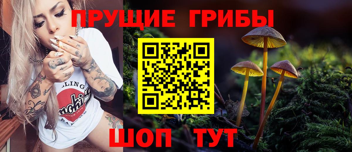 Галлюциногенные грибы MAGIC MUSHROOMS  Галлюциногенные грибы GOLDEN TEACHER  Томск  где найти наркотики  Вход с VPN 