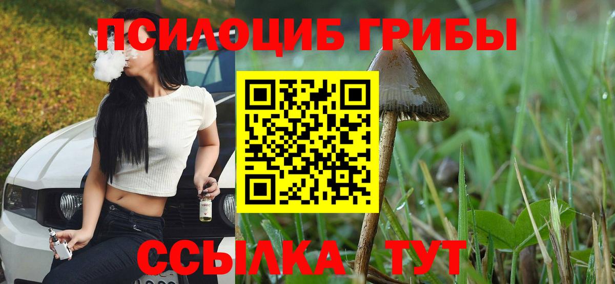 Галлюциногенные грибы прущие грибы Томск